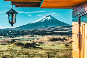 Design Tree House | View from room