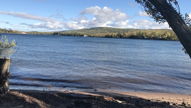 Vista sobre un lago con una playa de arena, un tronco de árbol y una colina boscosa a lo lejos.