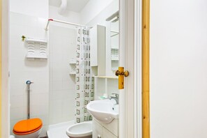 Shower, hair dryer, bidet, towels