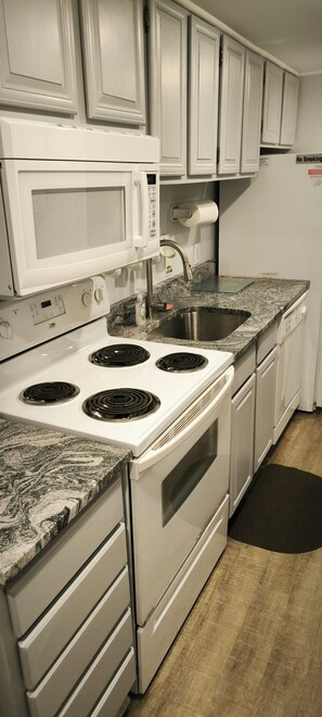 Fridge, microwave, oven, stovetop - Direct Ocean Front...In The Middle of it All!!! (Ocean City)