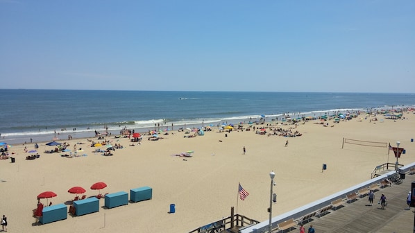 On the beach, sun-loungers - Direct Ocean Front...In The Middle of it All!!! (Ocean City)