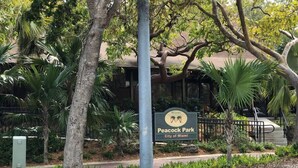 A sign for Peacock Park in Miami, surrounded by lush greenery and palm trees. - THE GROVE 6    10 MIN FROM THE BEACH In the heart of Coconut Grove and CocoWalk (Miami)