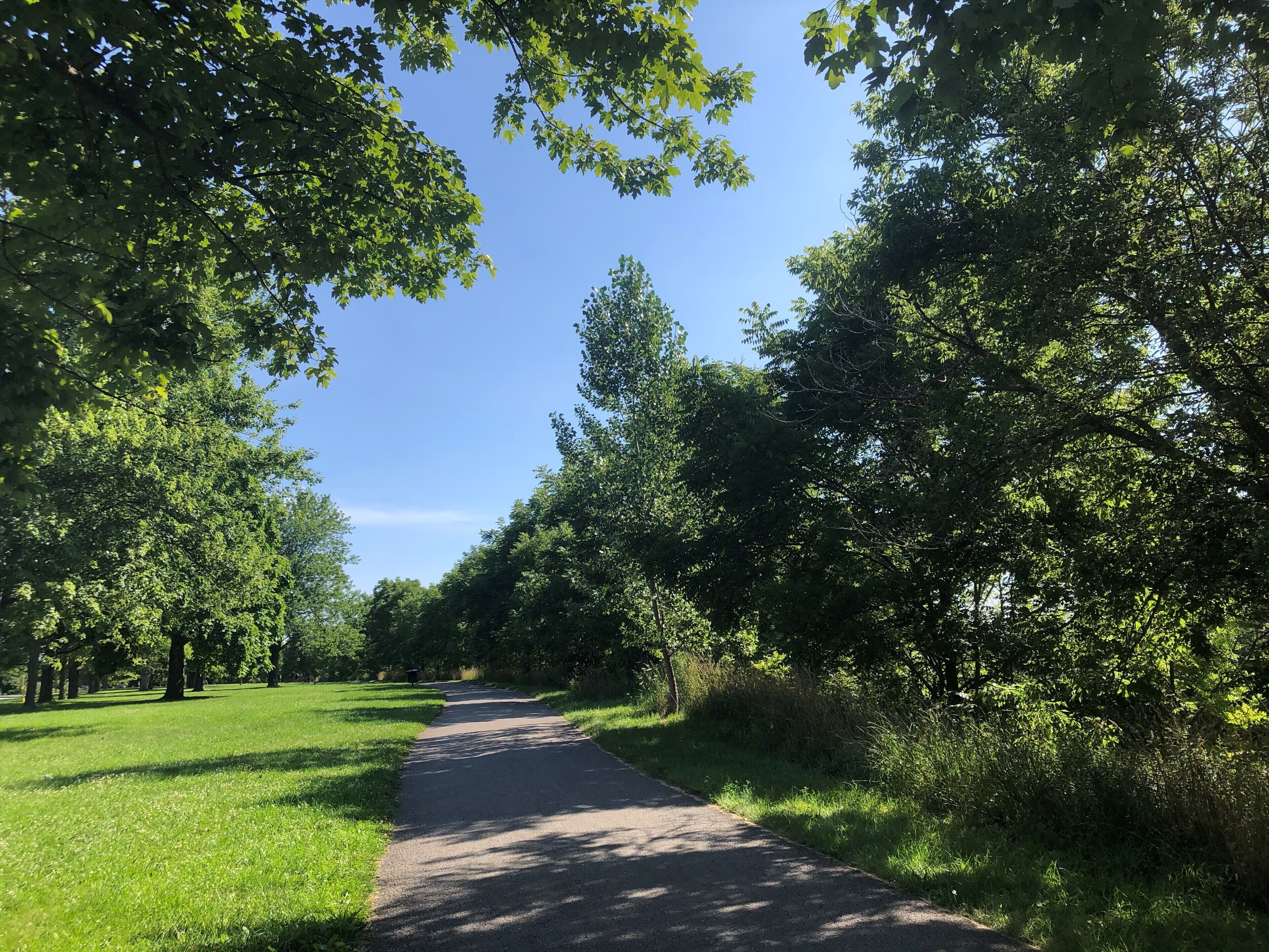 Ein gepflasterter Weg, umgeben von üppigem Grün und Gras.
