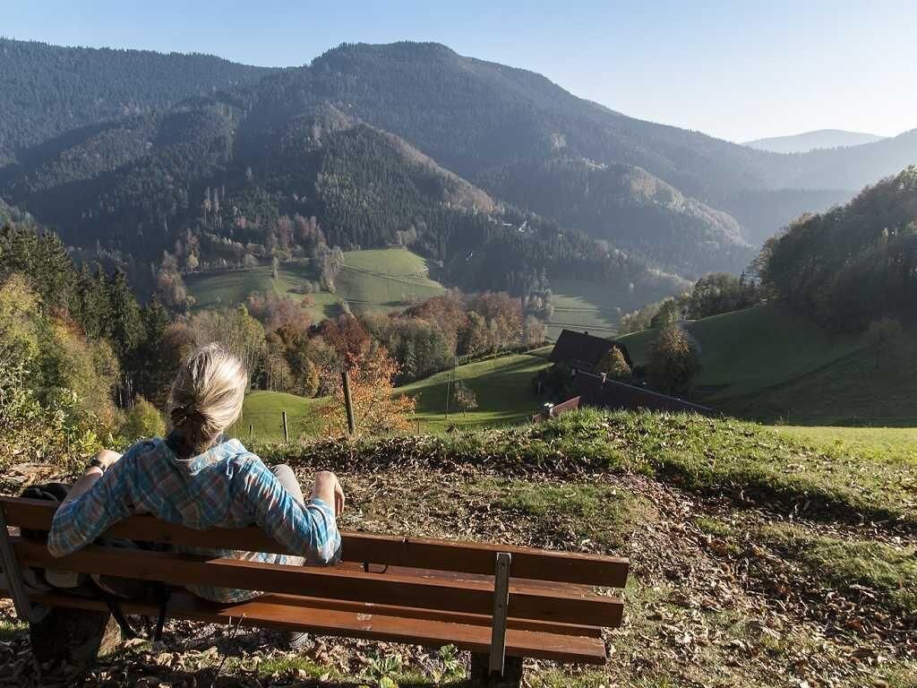 Khuôn viên nơi lưu trú