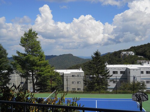 Sugar Ski & Country Club Unit 113 Bronze