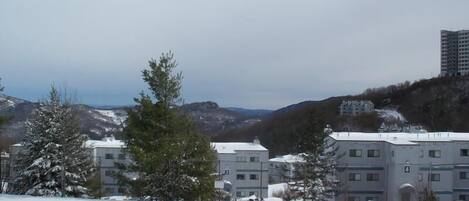 Huoneisto, useita sänkyjä (Sugar Ski & Country Club Unit 113 Bro) | Parveke