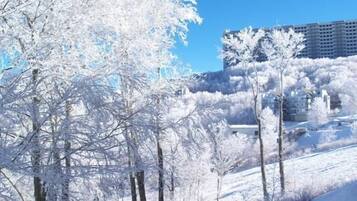 Condo, Multiple Beds (Sugar Ski & Country Club Unit 211 Bro) | Snow and ski sports