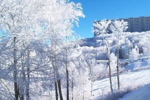 Apartment, Mehrere Betten (Sugar Ski & Country Club Unit 211 Bro) | Wintersport/Ski