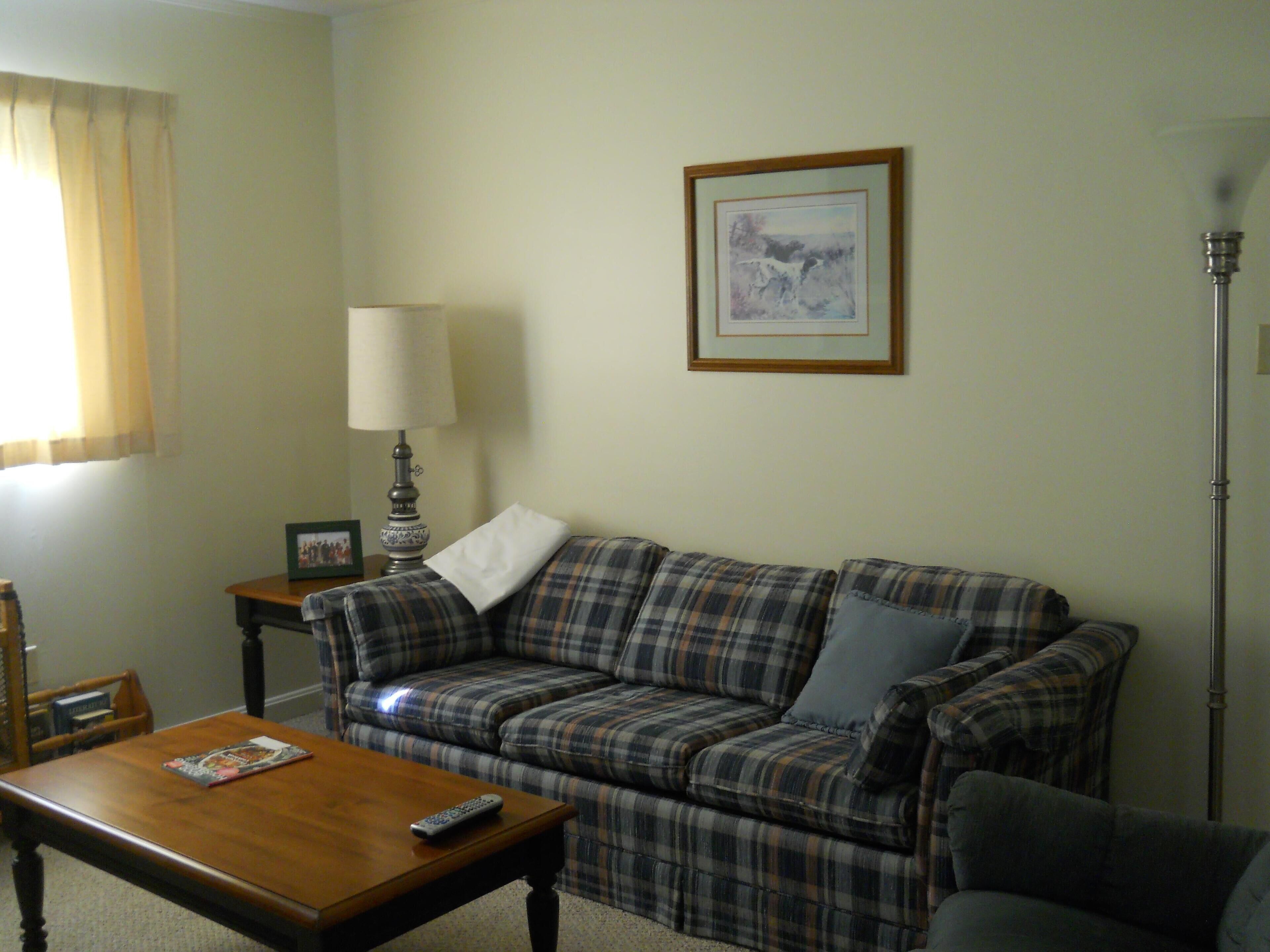 A living room with a plaid sofa, a wooden coffee table, a lamp, and a framed picture on the wall.