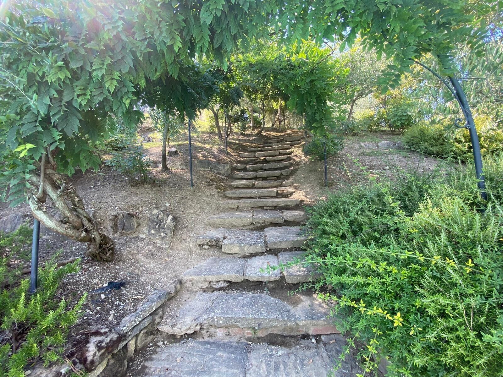 A stone staircase leading up to a wooden structure surrounded by greenery.
