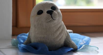 Vacation apartment Am SchiederSee - Fewo Am SchiederSee