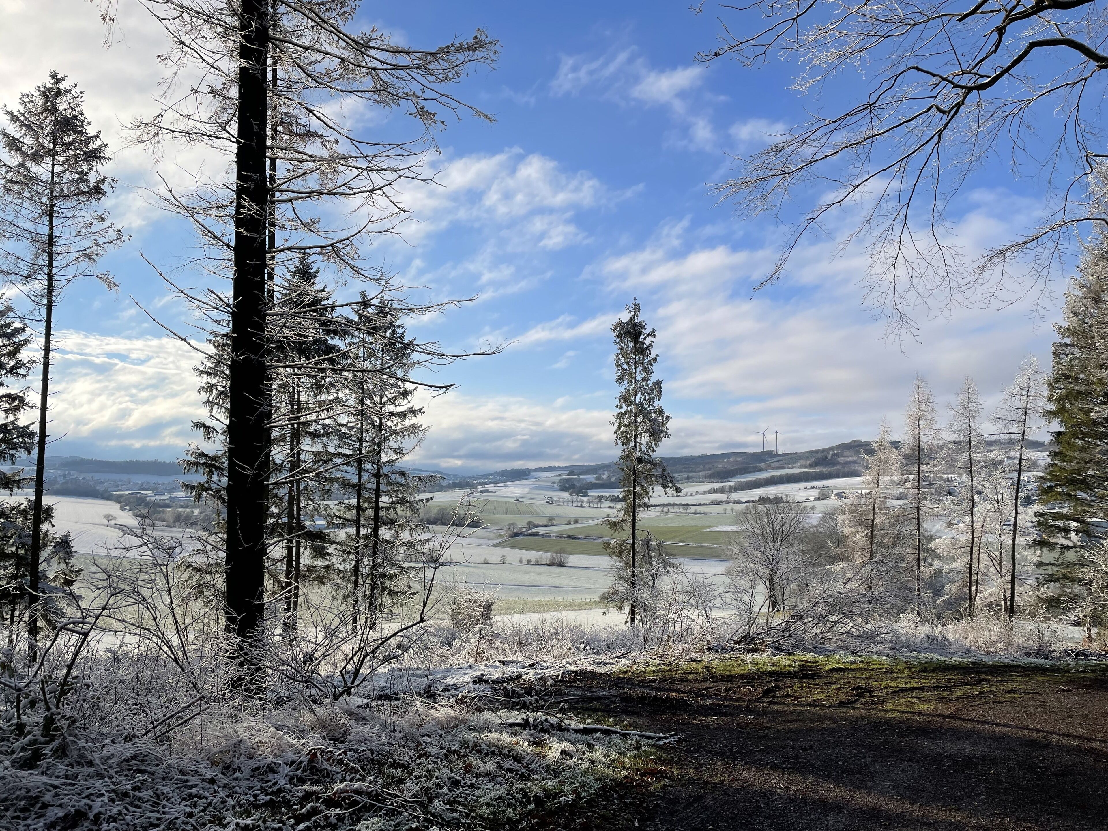 Un paysage boisé où les arbres sont recouverts de neige, avec une vue lointaine sur des champs et des éoliennes.