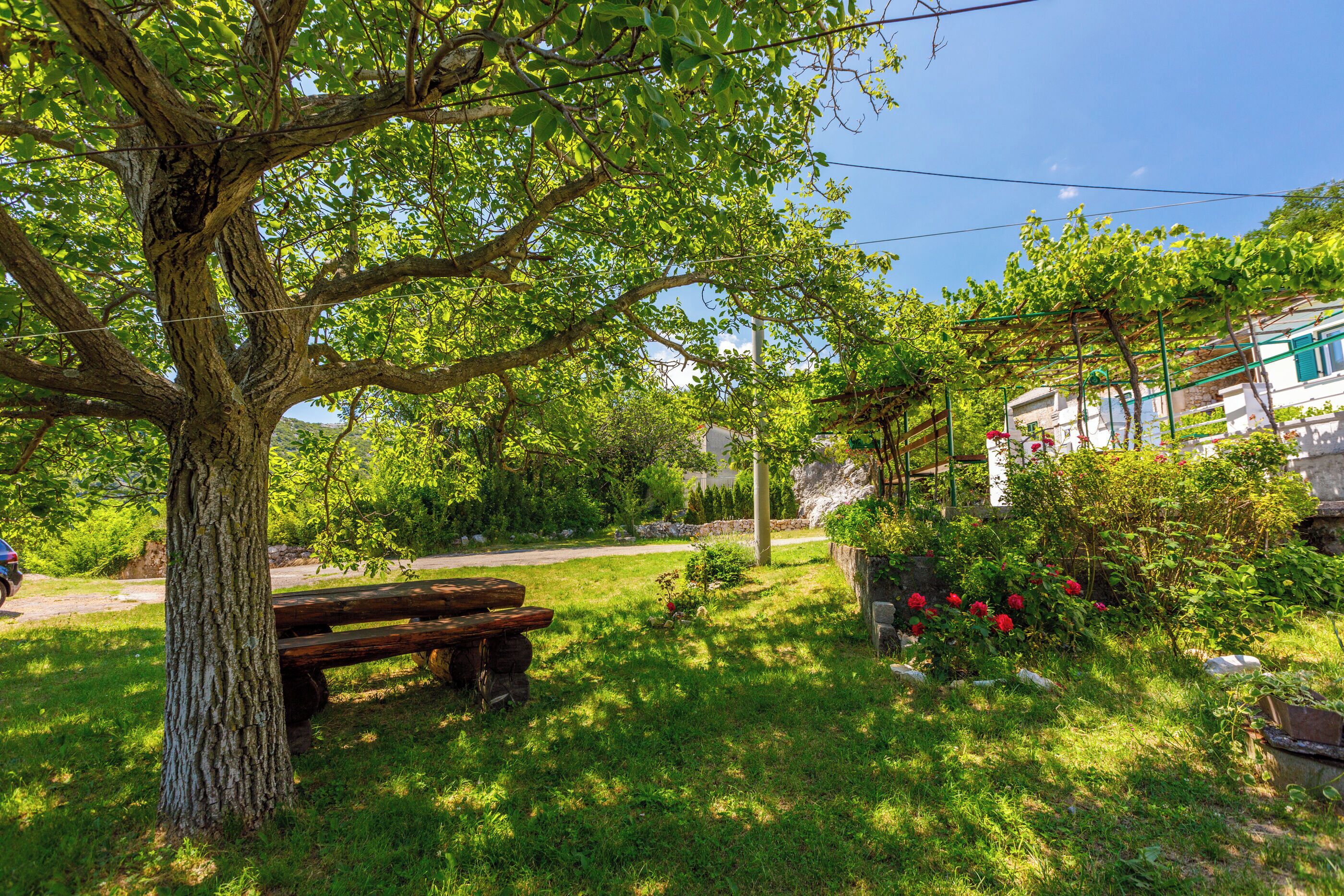 Un jardin bordé d’arbres, avec un banc en bois et un sentier.