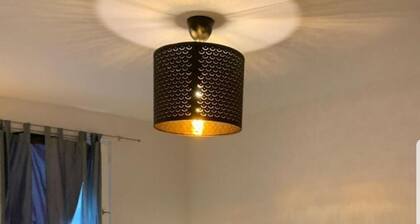 Spacious Apartment at the center of the city.