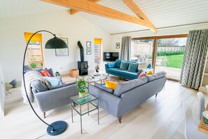 Smart TV, fireplace, DVD player, books