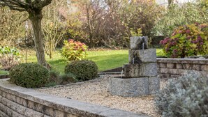Een tuin met een waterpartij van steen, strakke hagen en een boom.