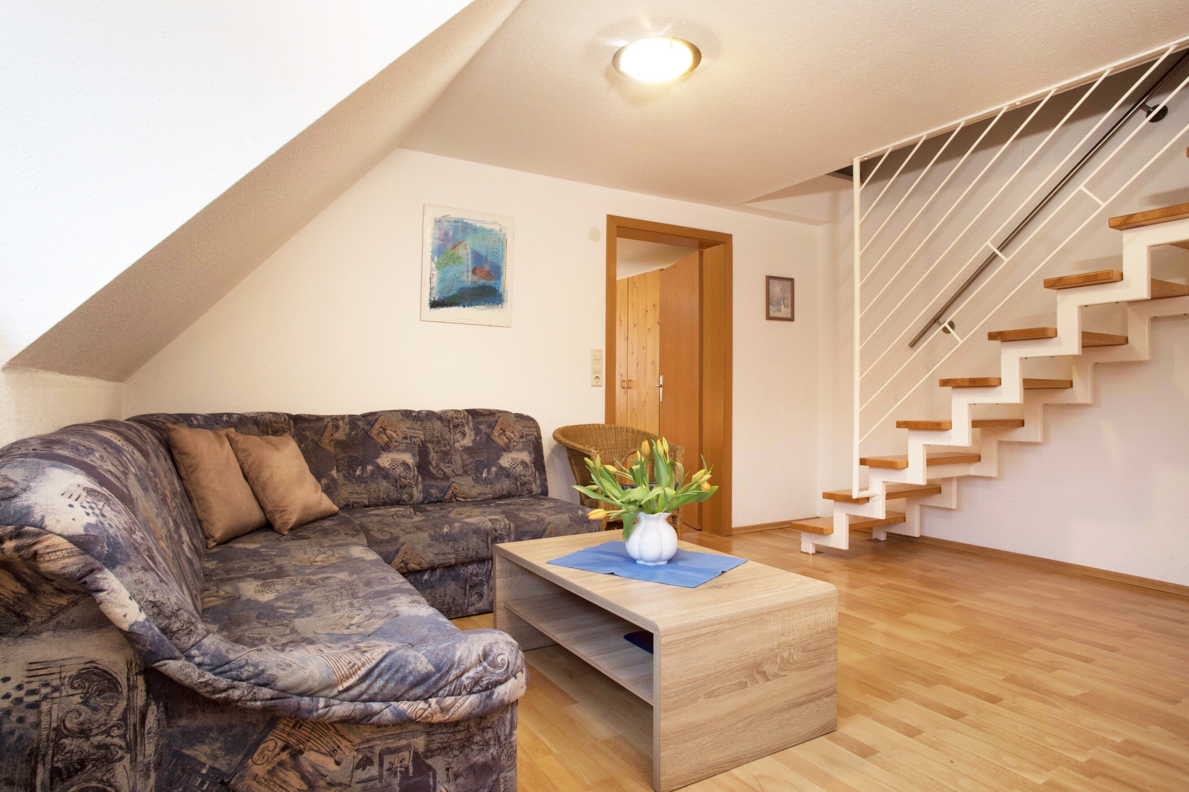 TV, tavolo da ping pong, impianto stereo