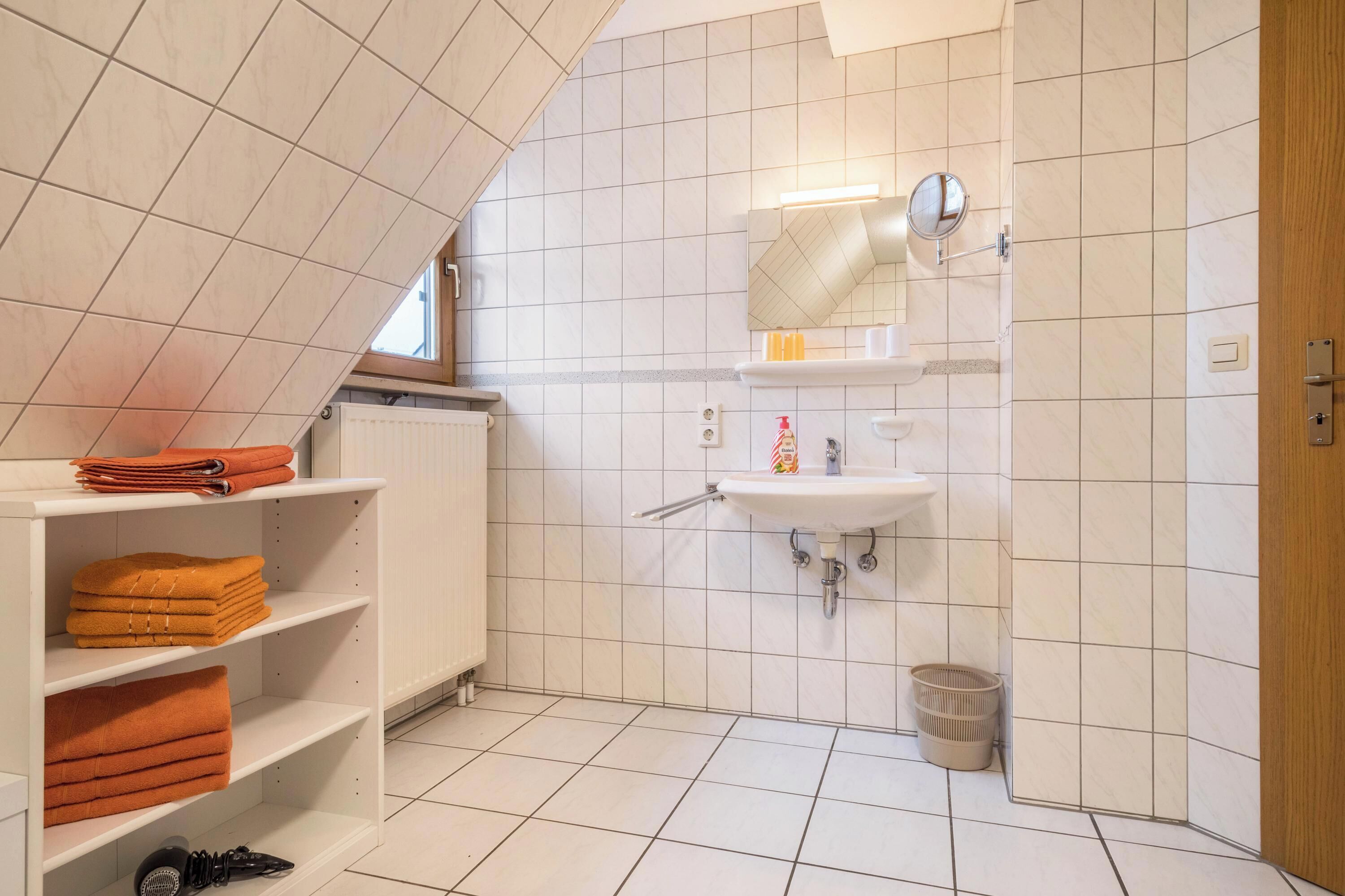 Shower, hair dryer, towels