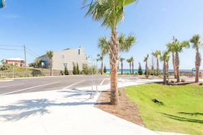 A coastal road lined with palm trees and a beach in the background. - Free Golf Cart, Walk to Beach, Pool Access, Sleeps 10, Bike to Shops & Restaurants! (Santa Rosa Beach)