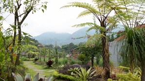 รูปภาพที่ไม่ได้จัดประเภท, 3 จาก 18, ปุ่ม