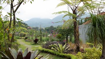 Jardín