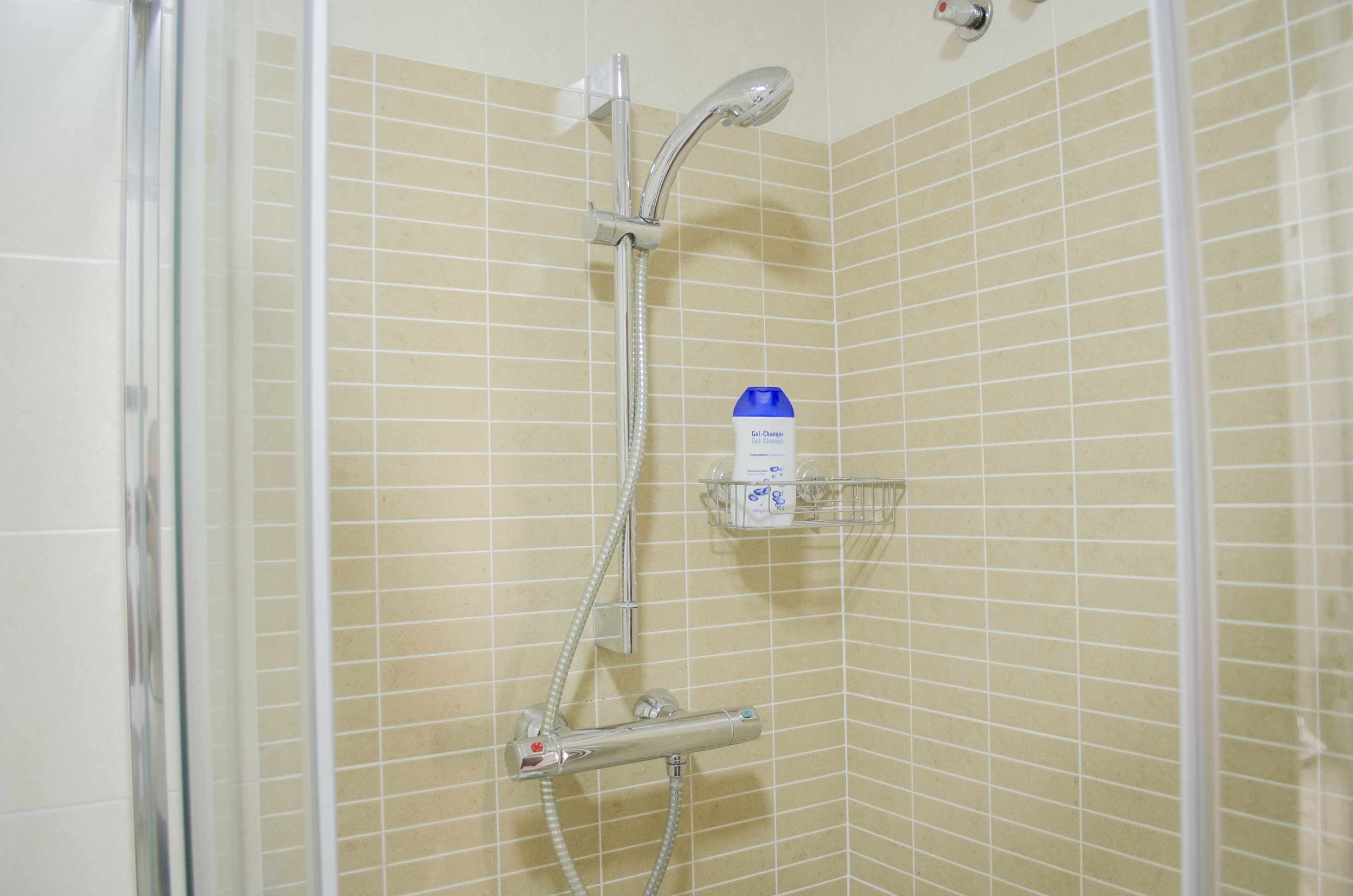 Douchegedeelte met een handdouche, een wandmengkraan en een zeepdispenser op een plank.
