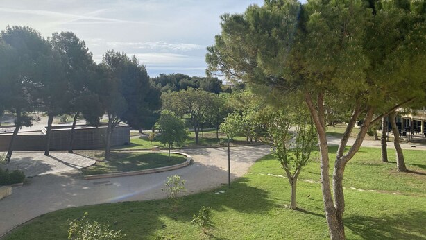 A park with a curved pathway, trees, and a building in the background. - Equipped studio with parking in Balaruc-les-Bains (Balaruc-les-Bains)