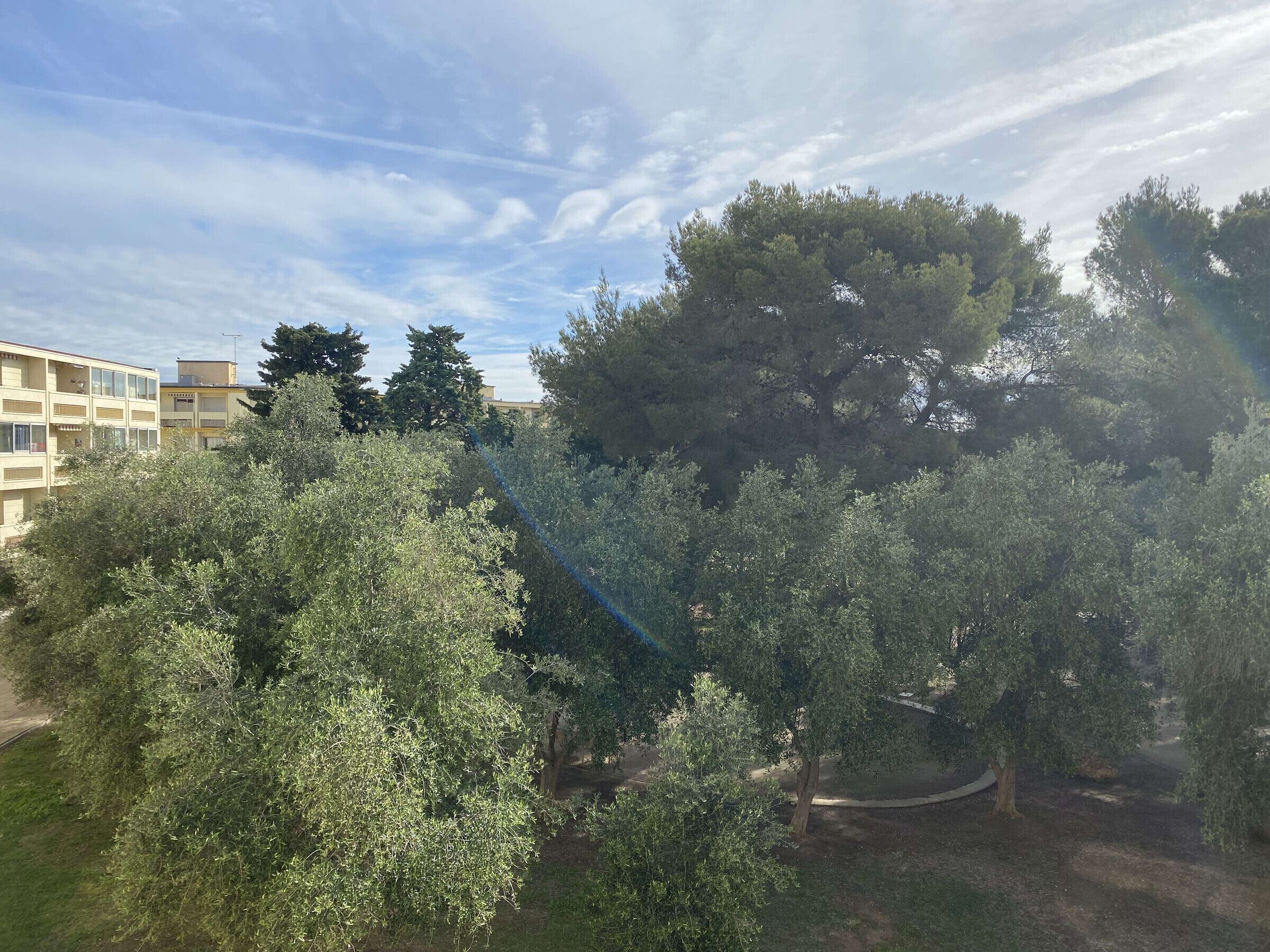 A courtyard with trees and a building in the background.