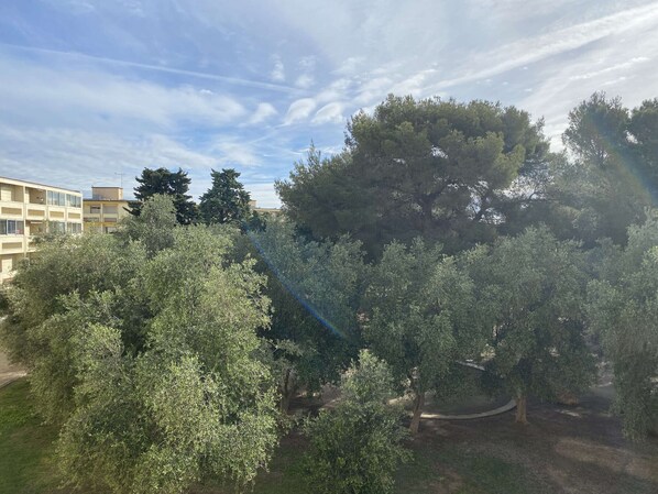 A courtyard with trees and a building in the background.