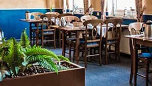 A dining area with wooden tables and chairs, pendant lights, and a large potted plant. - Logia Hotel garni (Neuharlingersiel)