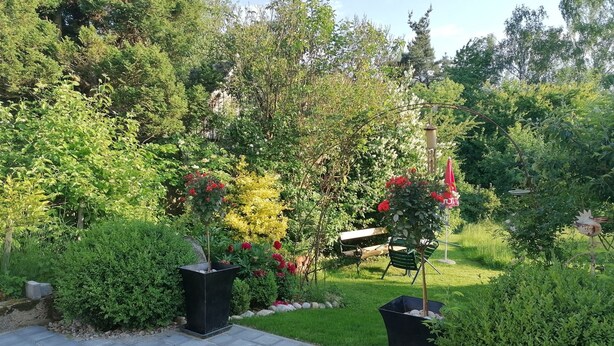 A garden with a paved walkway, benches, and various plants and flowers. - Ferienwohnung Gundacker (Dobersberg)