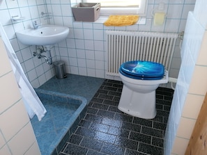 Classic-Apartment, 2 Queen-Betten, Nichtraucher, Terrasse | Badezimmer | Dusche, Haartrockner, Handtücher