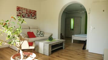 Classic Apartment, 2 Queen Beds, Non Smoking, Terrace | Living area | Flat-screen TV