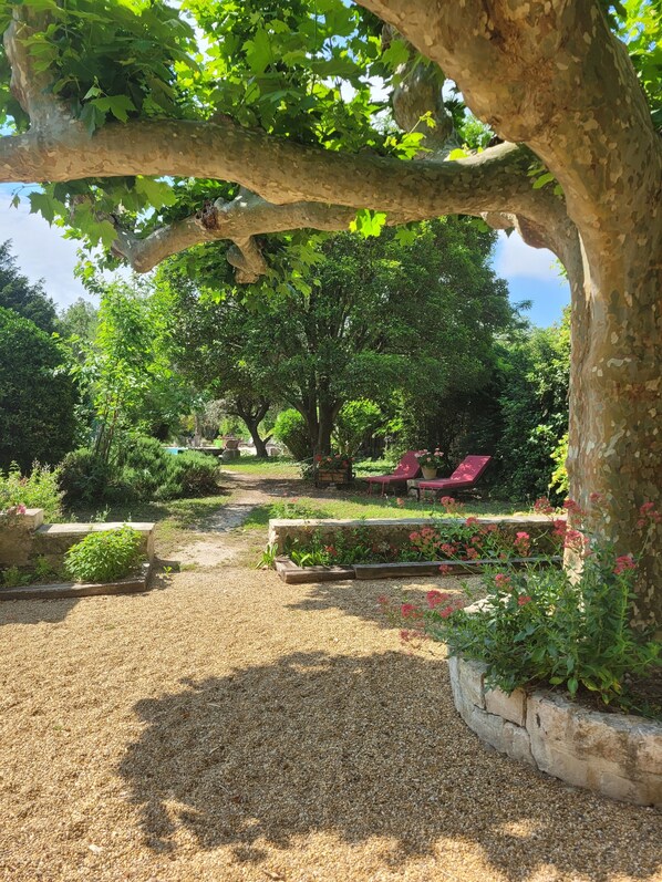 Áreas de la propiedad