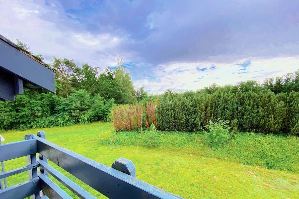 A grassy outdoor area with a wooden fence, dense shrubbery, and a variety of trees.