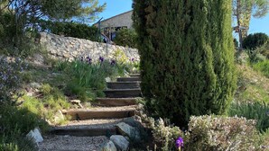 Eine steinerne Treppe führt einen Hügel hinauf, umgeben von verschiedenen Pflanzen und Bäumen.