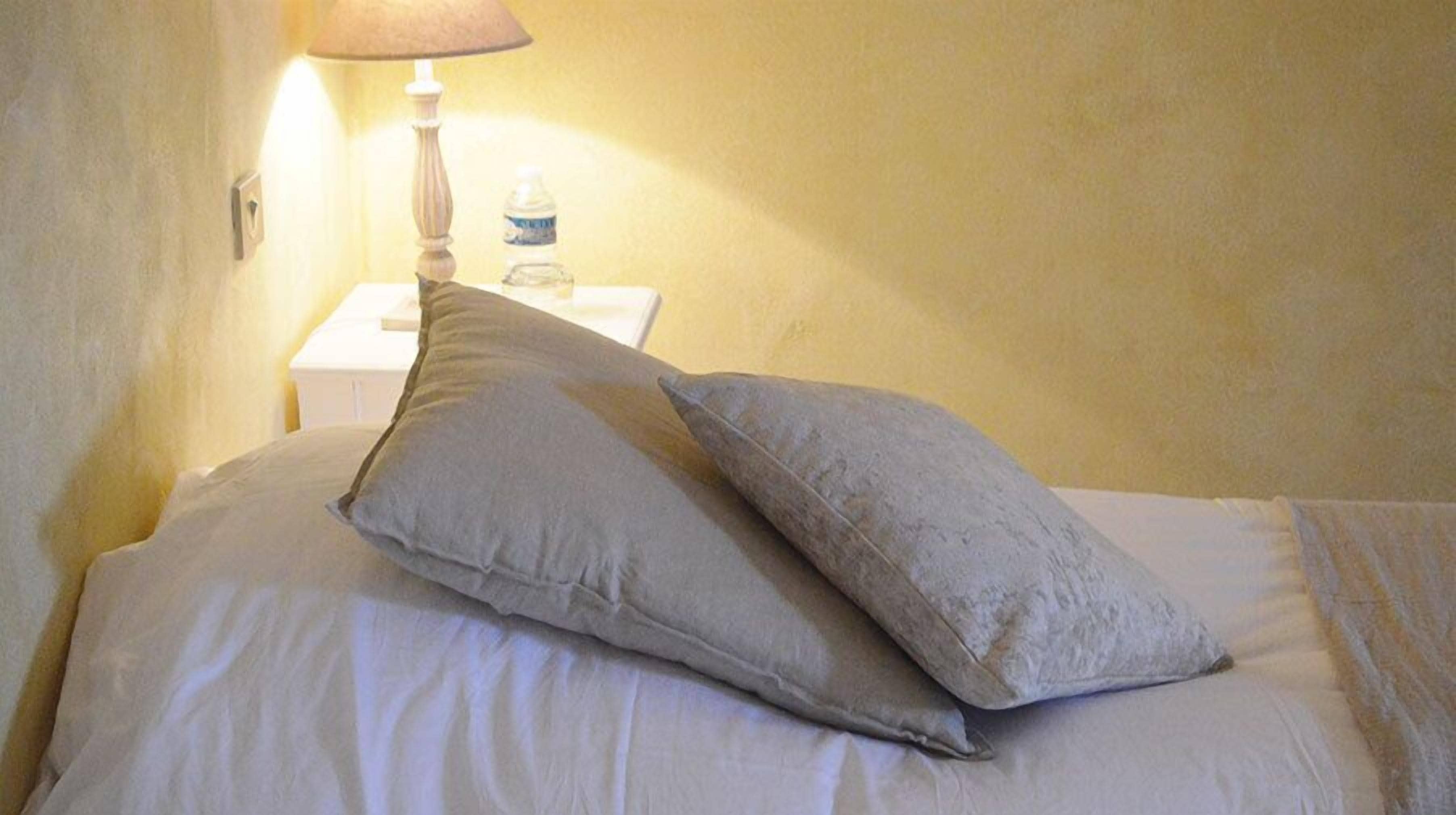 Ein Bett mit zwei Kissen und einem Nachttisch mit Lampe und Wasserflasche.