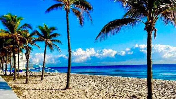 Une plage bordée de palmiers, sous un ciel bleu et dégagé.