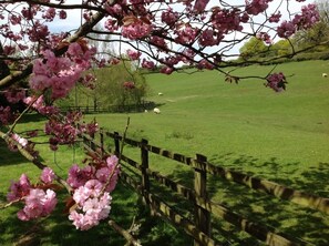 المنطقة المحيطة بالمنشأة