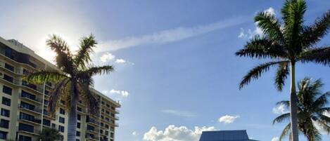 A hotel with a white facade, a parking area, and palm trees.