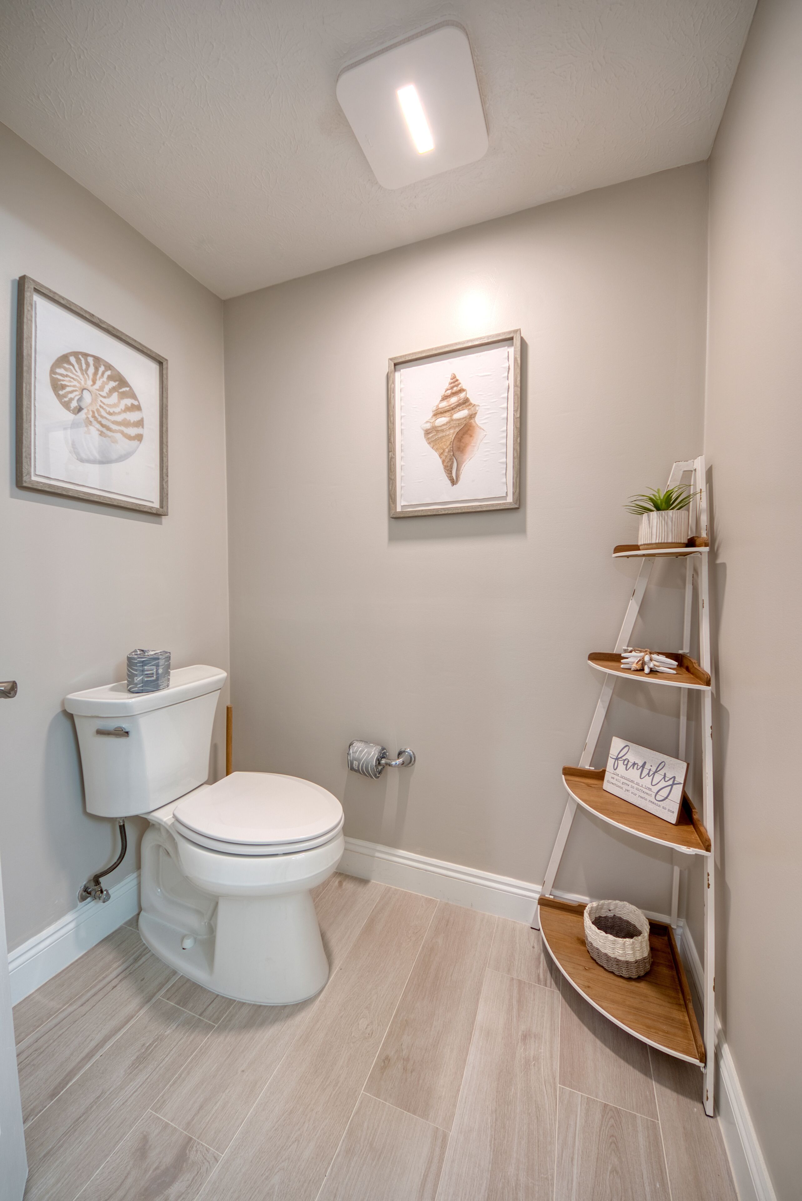 A bathroom with a toilet, framed artwork on the wall, a shelf with a plant, and a basket.