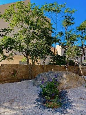 Property grounds - Residence Casa U Fornu APT3 (Ile Rousse)