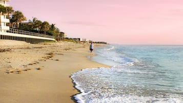 Playa en los alrededores, camastros y toallas de playa
