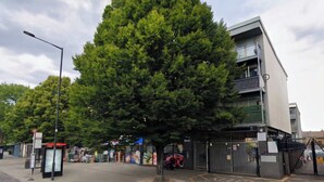 Ein modernes Gebäude mit einem großen Baum davor, einer Bushaltestelle und einem verschlossenen Eingang.
