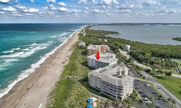On the beach - Indian River Plantation, Hutchinson Island, Stuart, Florida Penthouse Oceanfront (Stuart)