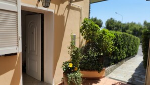 L'ingresso di un edificio con una porta, una pianta in vaso con fiori gialli e una strada con un siepe.