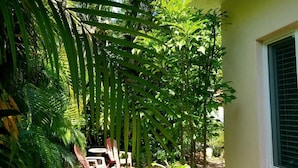 A garden with a lawn, palm trees, and a small tree. There is a building with a window and a door.