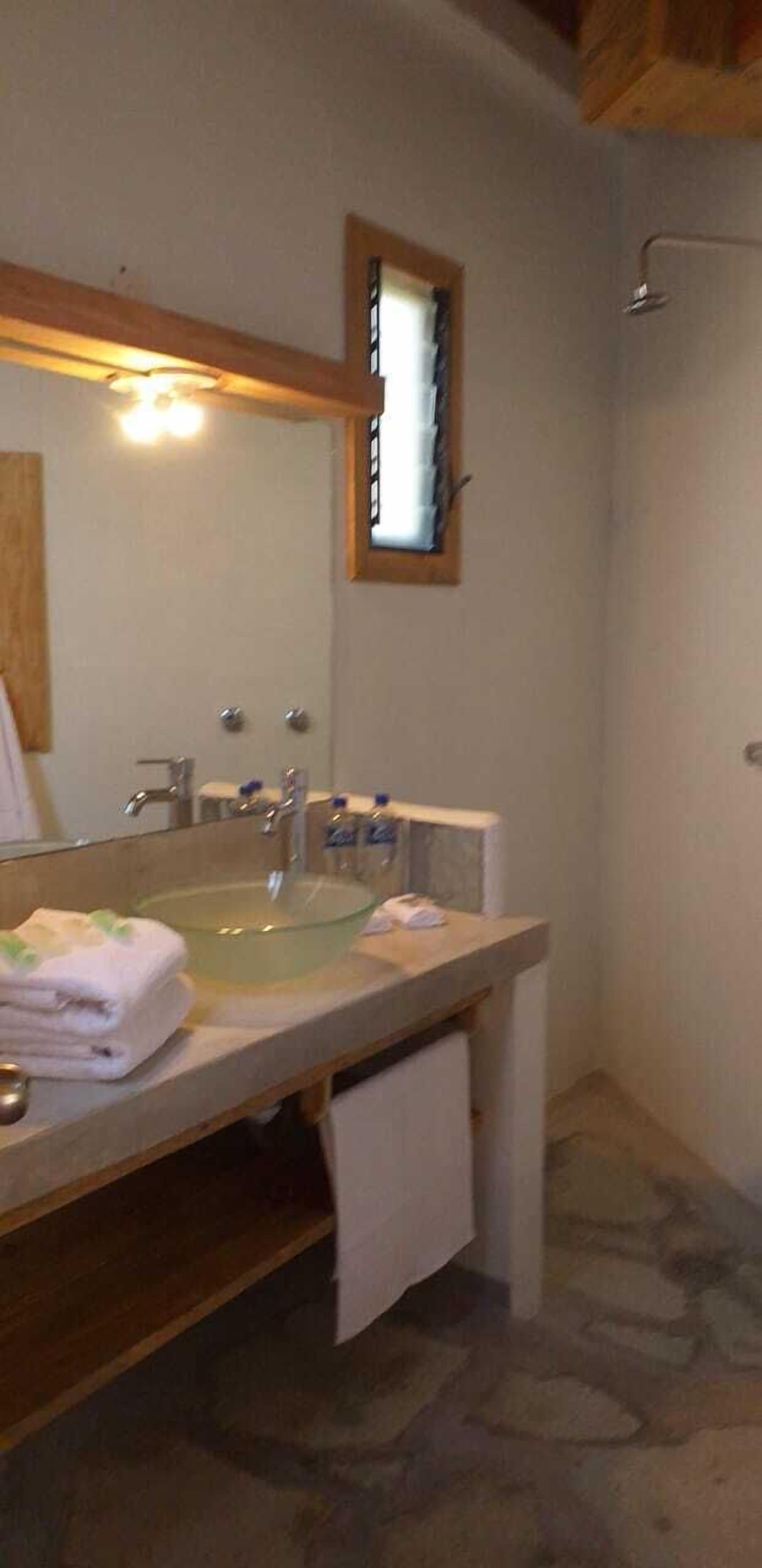 A bathroom with a large mirror, a glass sink, and a shower.