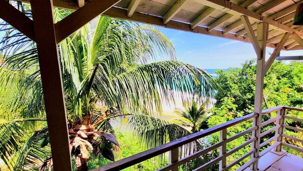 Un espacio al aire libre techado con baranda de madera, palmeras y vistas a vegetación exuberante.