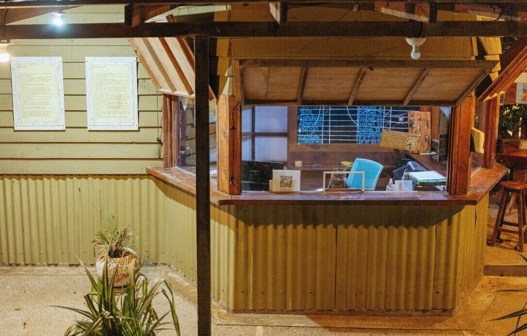 Un coin bar au style rustique, avec des comptoirs en bois, une chaise bleue et une plante en pot.
